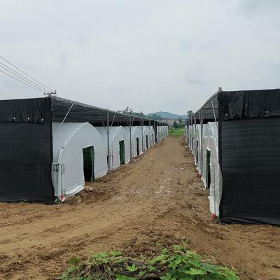 China Vegetable fruits flowers scatter black and white greenhouse PET film tunnel greenhouses for fungus and edible mushrooms farming for sale