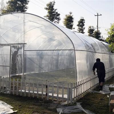 China Agricultural Vegetable Greenhouses Growing Skeleton Snail Tunnel Greenhouse Plastic Sheet Cultivation Shed Tomato Greenhouse For Sale for sale