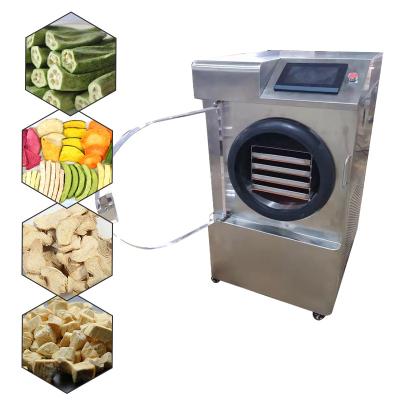 China food & Beverage Factory Egg Food Dehydration Machines Vegetable Cold Cryo Air Drier Freeze Dry Fruit Machine for sale