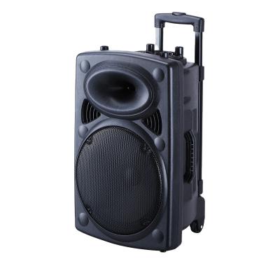 China 12 inch heavy bass high volume outdoor speaker BT wireless portable party speaker with radio mini DJ bass speaker for sale