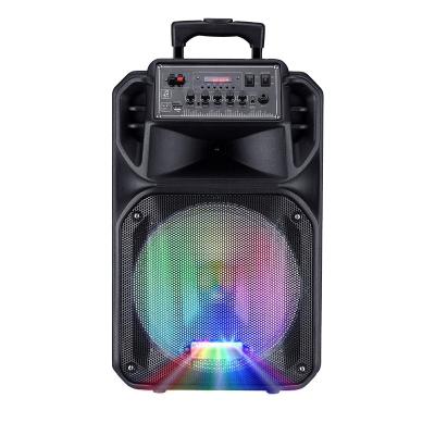 China 8 inch good quality portable speaker sports fabric trolley speaker with radio dj karaoke speakers with 2 mic for sale