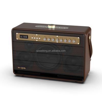 China Phone Function 120 Bluetooth Speaker Output Power Wireless Great Amplifier for Karaoke and Playing Guitar for sale