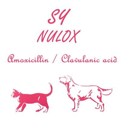 China AMOXI viable viable for dogs and cats for sale