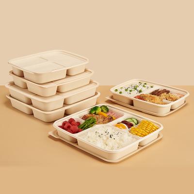 China 11001000 ml Disposable Microwavable Bento Take Out Box 5 Compartment Bento Lunch Box 5 Compartment Disposable Cornstarch Cornstarch Bowl for sale