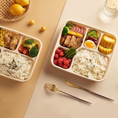 China Eco Friendly Microwavable 3 4 Compartment Disposable Packaging Cornstarch Food 5 Section Bio Lunch Bento Box Fast Food To Go Container for sale