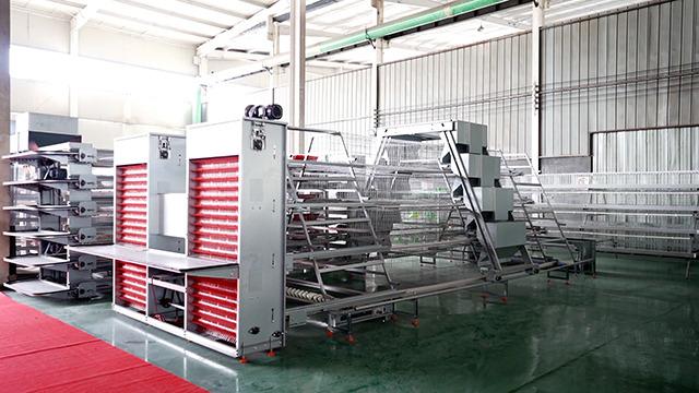 Verified China supplier - Hebei Ruikang Animal Husbandry Equipment Co., Ltd.