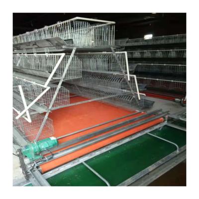 China Poultry Field Chicken Farming Chicken Layer Cage Homemade Stainless Steel Chicken Cages for sale