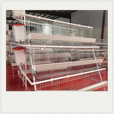 China Poultry Field 3000 Chickens Battery Cage Chicken Cages Layer Poultry Battery Cages for sale