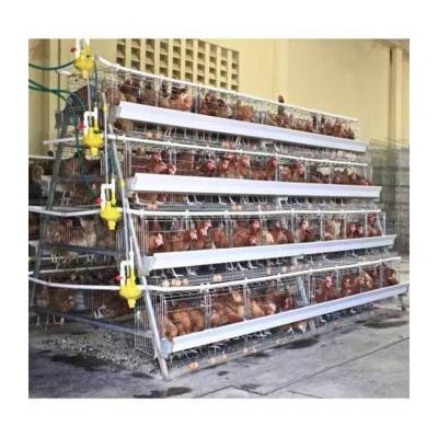 China Poultry Field Zambia A Type Galvanized Automatic Egg Laying Poultry Farm Chicken Cages For Sale for sale