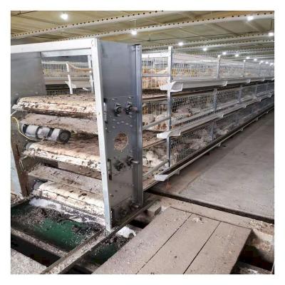 China Automatic Broiler Breeding Cage Poultry Field H Type Chicken Cages Broiler Cage for sale