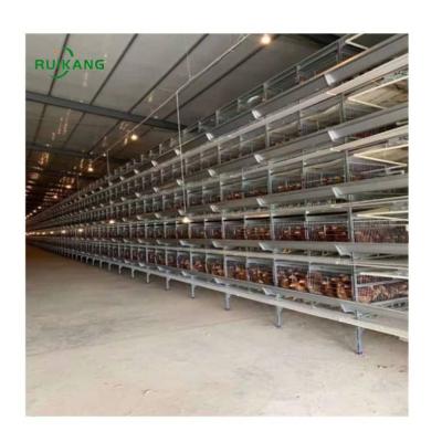 China Automatic Poultry Field Chicken Laying Egg Cages Type Layer Chicken Cage Brooder Chicken Cage H Design for sale