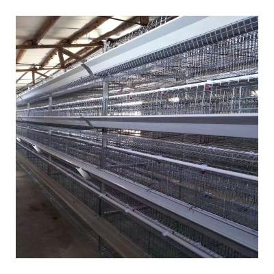 China Save Working Type Egg H Type Chicken Farm Equipment Chicken Poultry H Type Layer Chicken Cage for sale