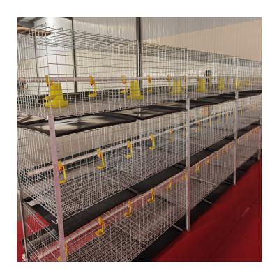 China Automatic Poultry Field Broiler Breeding H Type Broiler Battery Chicken Cage System for sale