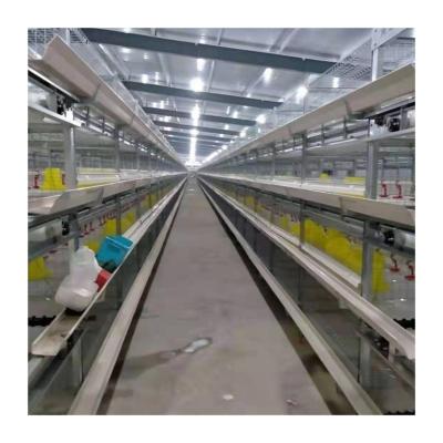 China Fully Automatic Poultry Field Broiler Cage H Shaped Automatic Broiler Cage Broiler Cage System for sale