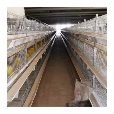 China Poultry Field H type chicken farming automatic day old baby chick layer broiler battery pullet cage for sale