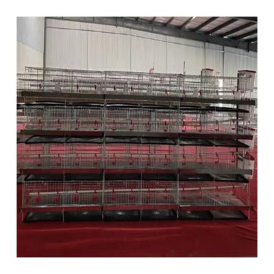 China Field H Type Poultry Galvanized Chicken Pullet Cage Baby Chicken Battery Brooder Cage For Farmer Day-old Chicks for sale