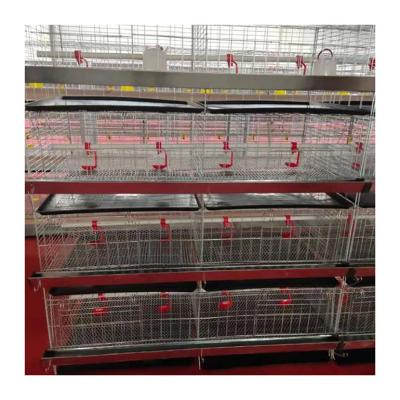 China Poultry Field Broiler Raising Chicken Layer Feeding Cage 4 Layer Baby Chick Chicken Cage for sale