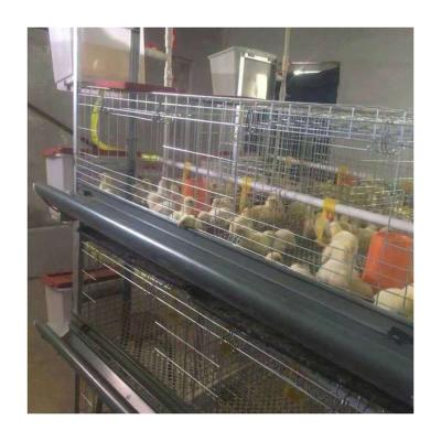 China Automatic Baby Layer Broiler Chicken Day-old Chick Battery Pullet Poultry Field H Type Cage for sale