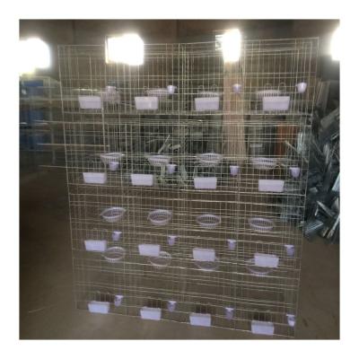 China Easy Install High Quality 3 Tier Pigeon Breeding Cage With Pigeon Cage Accessories for sale