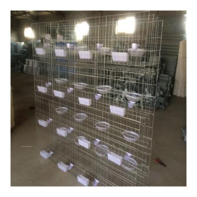 China Easy install new design birdcage pigeon farming cage equipment good price for sale