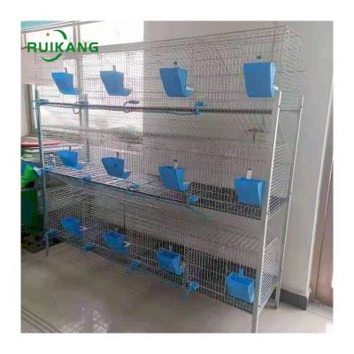 China Save The Place China Commercial Rabbit Cage In Malaysia Philippines Breeding Rabbit Cage for sale