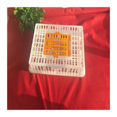 China Plastic Chicken Cage Poultry Field Poultry Farm Transport Plastic Poultry Cage for sale