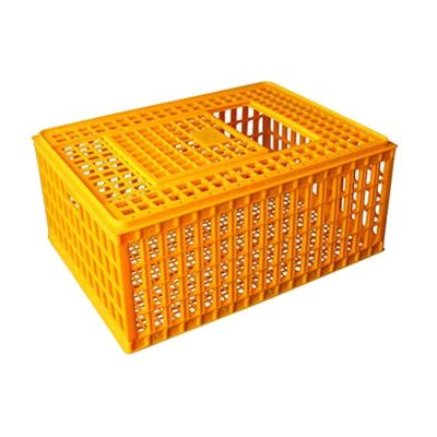 China Poultry Farms Equipment Chicken Transport Stocked Plastic Cage For Sale for sale