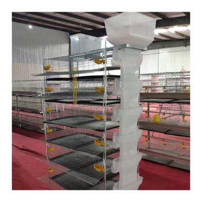 China Poultry Field Cage Poultry Farm Metal Egg Laying Quail Battery Cage Animal Birds Cage For Sale for sale