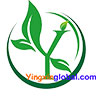 China HEBEI YINGXIN IMPORT&EXPORT CO.,LTD