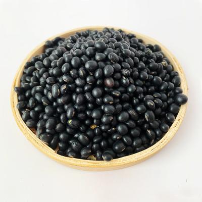 China No addition high nutritional value wholesale a large number of new high quality, high quality black beans at low prices for sale