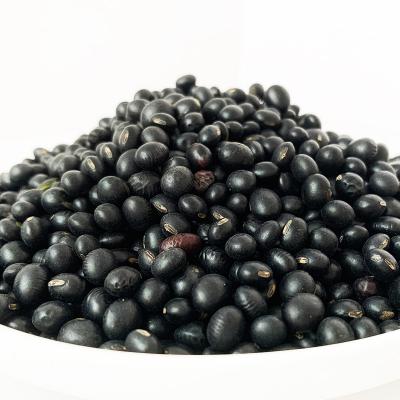 China Factory Wholesale Chinese Dry Black Mung Bean Green High Quality Heart for sale