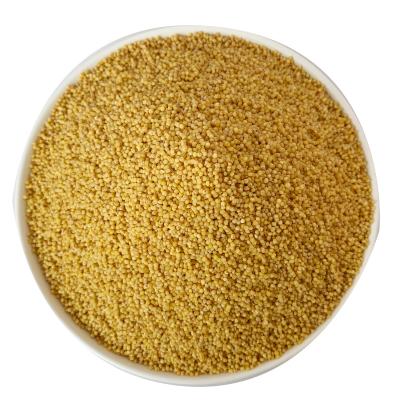 China New Quality Dry Top Grade Bagged Yellow Millet Low Price Millet For Human for sale