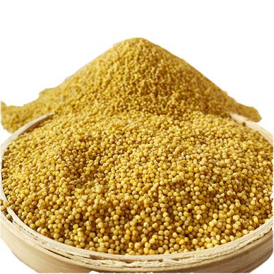 China Export quality chinese manufacturer dry yellow hulled millet for sale for sale