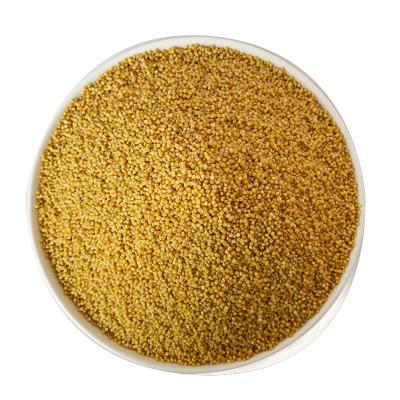 China Chinese Export Factory Dry Top Grade Vacuum Pack Hulled Yellow Millet for sale