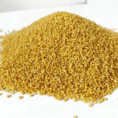 China Original China Low Price Organic Dry Millet Vacuum Packing High Quality Yellow Millet for sale