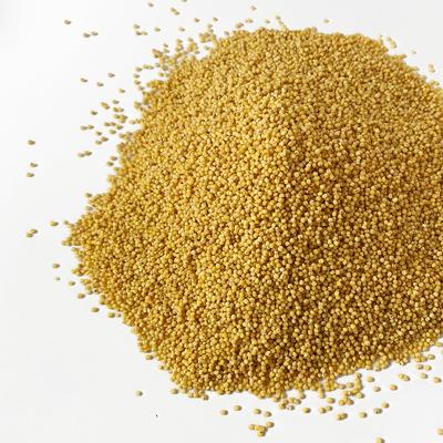 China Wholesale Supply Gold Low Price New Cultured Dry Bulk Hulled Yellow Pearl Millet For Sale for sale