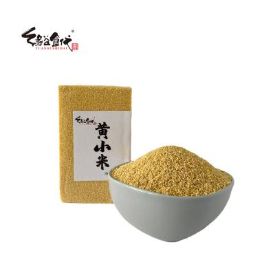 China Wholesale Gold Low Price Dry Culture New Bulk Hulled Yellow Pearl Millet For Sale for sale