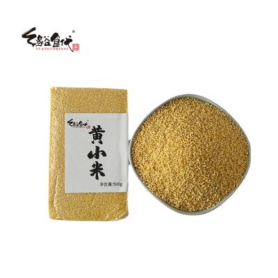 China Wholesale Supply Gold Low Price New Cultured Dry Bulk Hulled Yellow Pearl Millet For Sale for sale