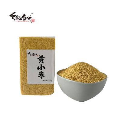 China Low Price Dry Crop New Bulk Bulk Hulled Yellow Millet For Sale for sale