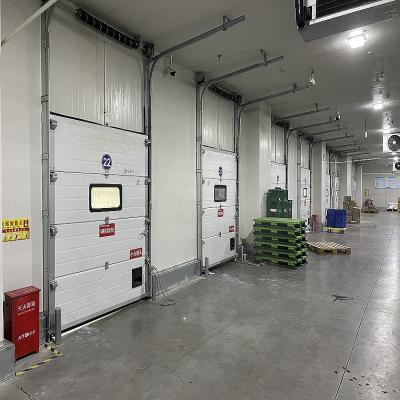 China Modern industrial door of T-50mm for cold storage for sale