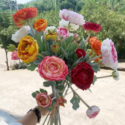 China Beautiful Reasonable Price Party Decoration Colorful High Quality Real Burnt Peony White Flower Artificial Burnt Bulk Contact for sale