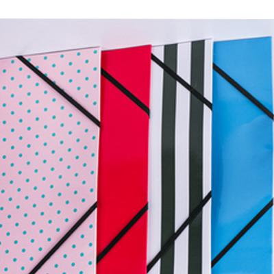 China High Quality Foldable File Folder Box A4 Paper Folder For Office 3 Ring Binder for sale