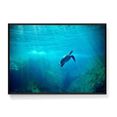 China Abstract Canvas With Frame For Painting Sea Turtle Painting With Frame for sale