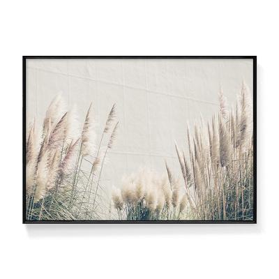 China Abstract Framed Natural Pictures Scene Art Print Miscanthus Photography Print for sale