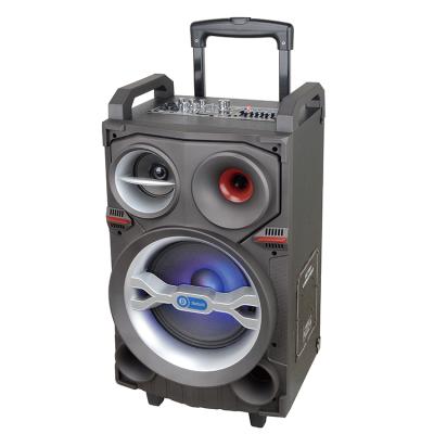 China AMWOOD Party Speaker Trolley Wireless Portable Party Speaker With Disco Light for sale