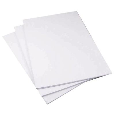 China Directly from the Mill Custom Sticker Paper with Rubber Adhesive and Big Sheet Size for sale