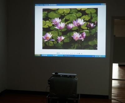 China Portable multimedia device with DVD player, all-in-one pc and projector for sale