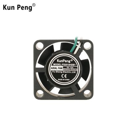 China Hotels Micro Laptop CPU Cooler 25mm 25 X 25 X 10 Mm DC 5v 12v Sleeve Bearing Ball Bearing Fan 2510 for sale