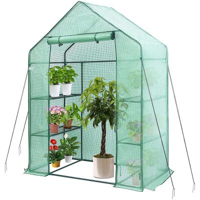 China Transparent Mini Walk-In Easily Assembled Green House With Window And Anchor Plant Warm Garden Green House for sale