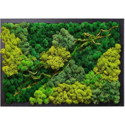 China Customize Preserved Moss Eco Natural Green Wall Art Moss Frame Living Plants Vertical Moss Wall Decor Real Garden for sale